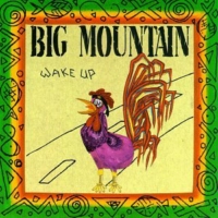 big-mountain_wake-up