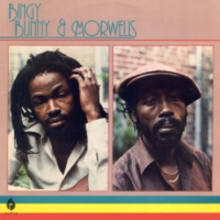 bingy-bunny-&-the-morwells_bingy-bunny-&-the-morwells