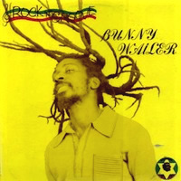 bunny-wailer_rock-n-groove
