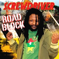 screwdriver_road-block