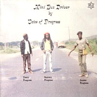 voice-of-progress_mini-bus-driver