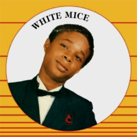 white-mice_white-mice